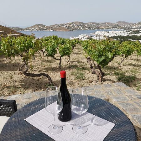 Páros Wonderful Sea View 빌라 외부 사진