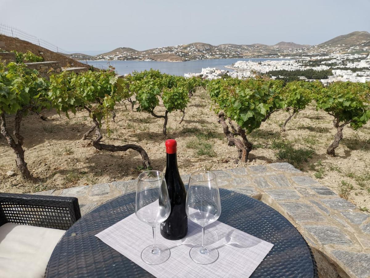Páros Wonderful Sea View 빌라 외부 사진