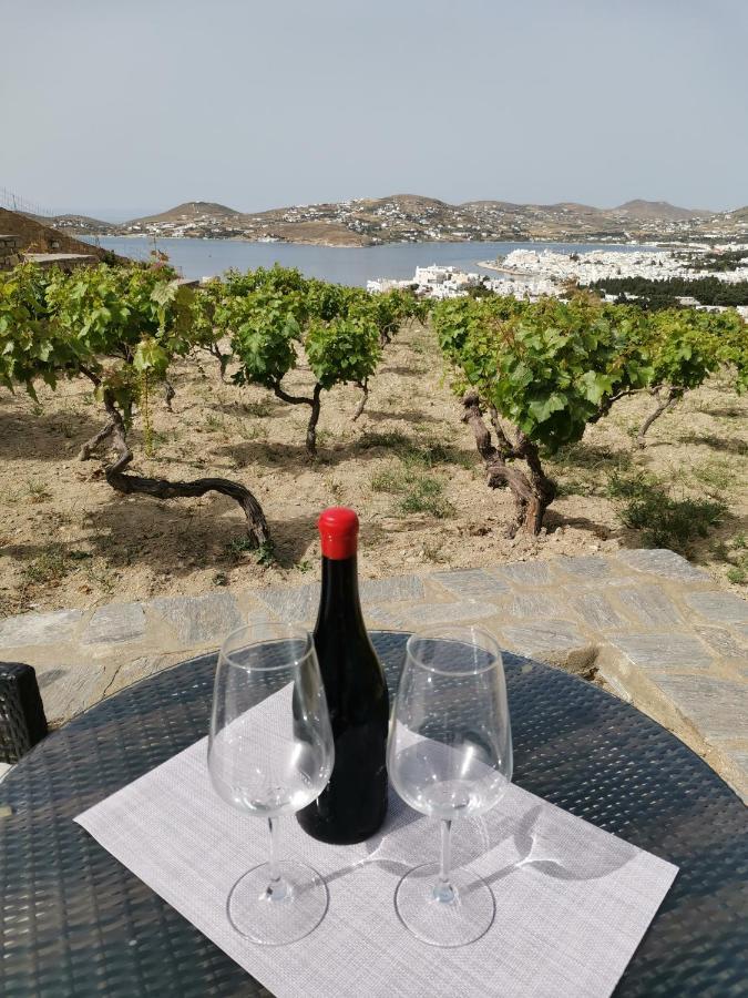 Páros Wonderful Sea View 빌라 외부 사진